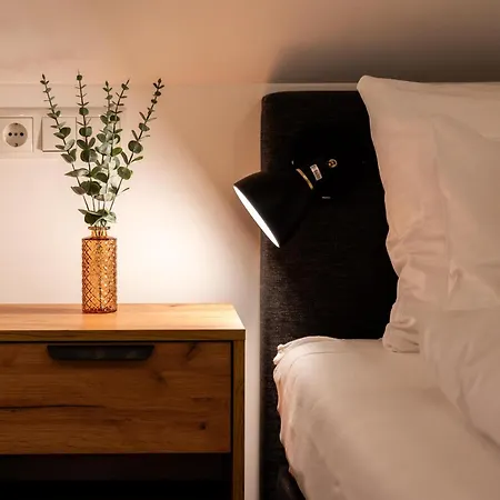 Apartahotel Dreamcation Altstadthotel Regensburg, Mikro Mit Küche Ratisbona
