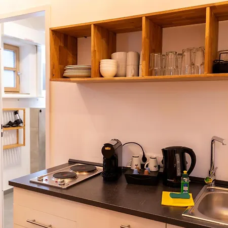 Dreamcation Altstadthotel Regensburg, Mikro Mit Küche 3* Ratisbona